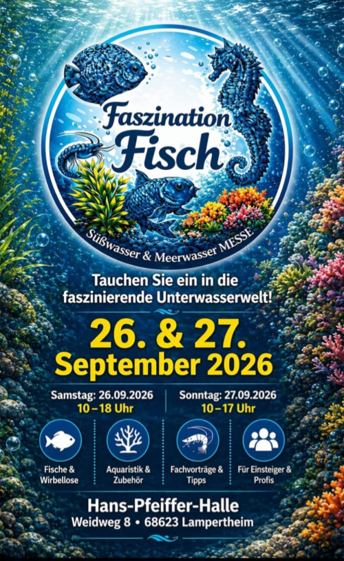 Plakat Faszination Fisch